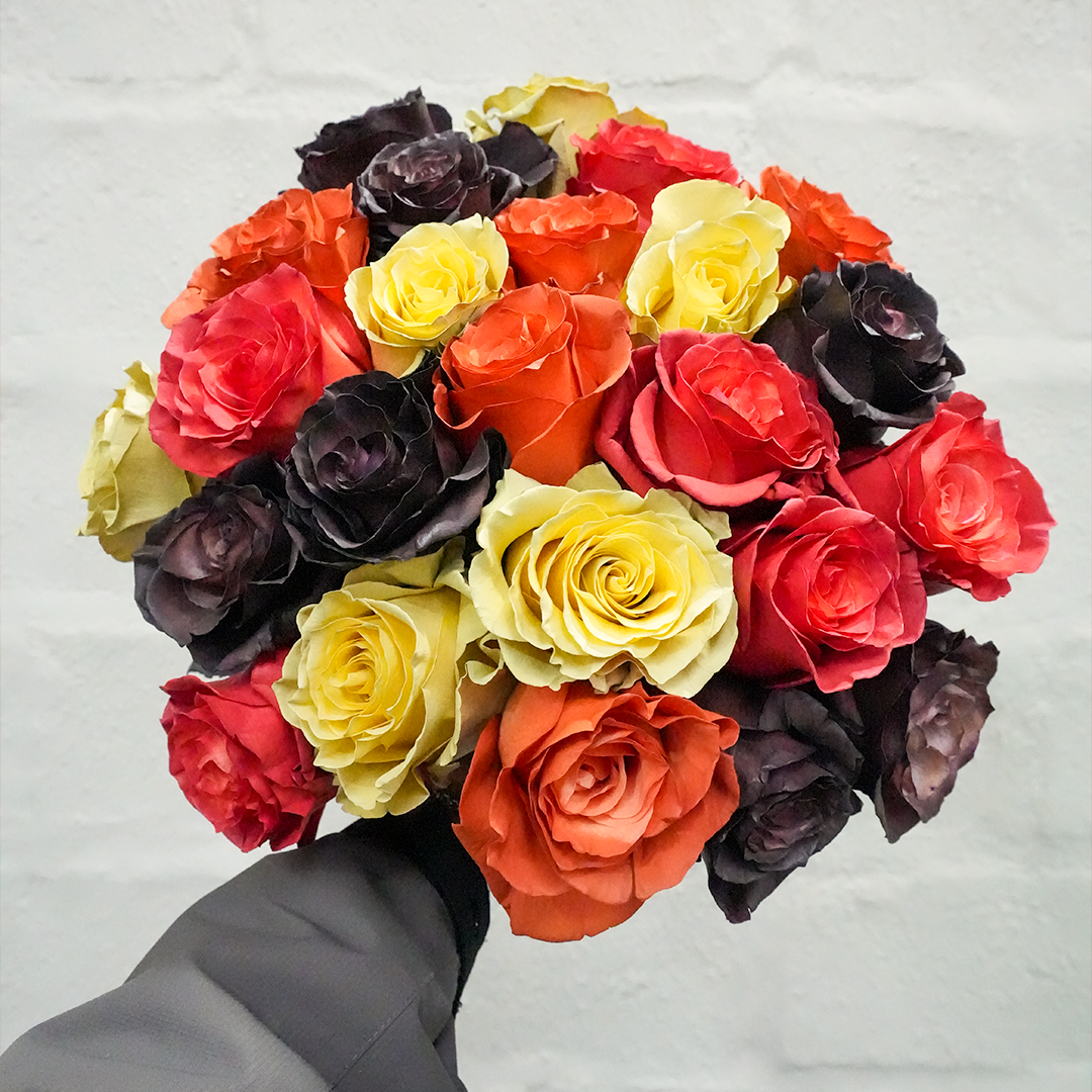 Hand holding a round bouquet of mixed roses in red, yellow, orange, and black varieties