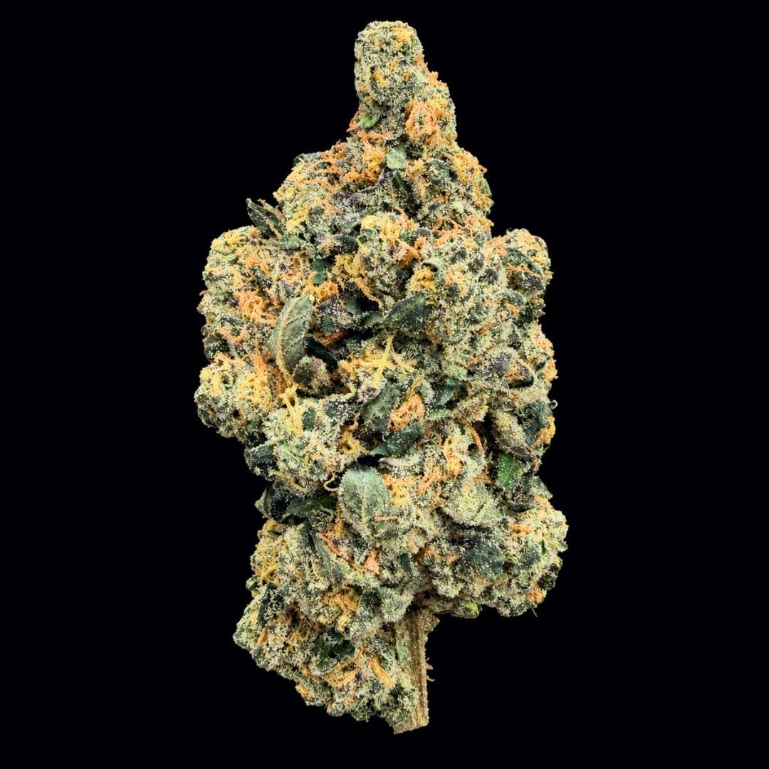 Large cannabis flower cluster with yellow-green coloring and prominent trichomes, single stem visible at base