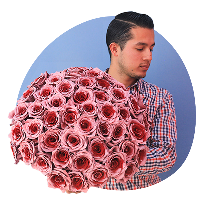 Man in checkered shirt holding bouquet of pink and red roses with blue circular background