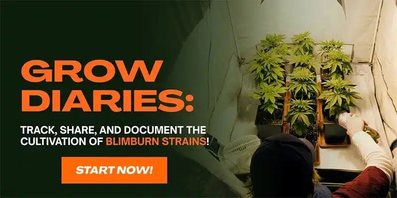 Promotional banner advertising grow diaries for tracking cannabis cultivation strains with indoor grow tent setup visible in background