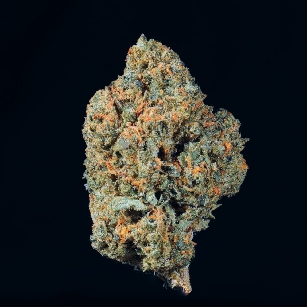Single cannabis flower bud with green and orange coloring and visible crystal trichomes