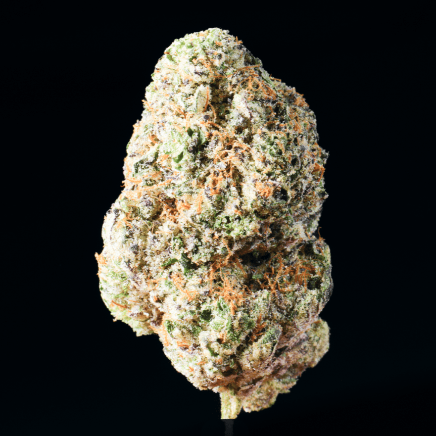 Dense cannabis flower bud with white and amber trichomes coated throughout, photographed against black background