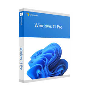 Microsoft Windows 11 Profesional