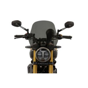 Cupolino Isotta per Tvs Ronin Td 250 dal 2024 Fumé Scuro